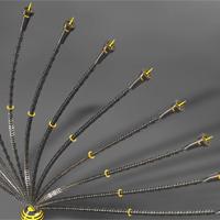 Create a Cybernetic Plant in Cinema4D