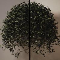 Occlusion Shading Opacity Mapped Geometry